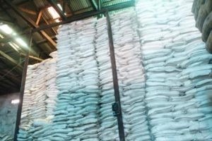 DRILLING STARCH